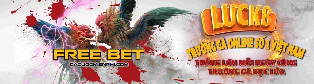 Hướng dẫn 23Win - Bạn đang muốn tìm thông tin nào về 23Win?